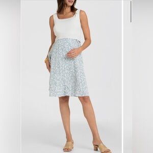 Seraphine Blue and White Maternity Dresss